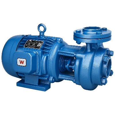 Electric Centrifugal Monoblock